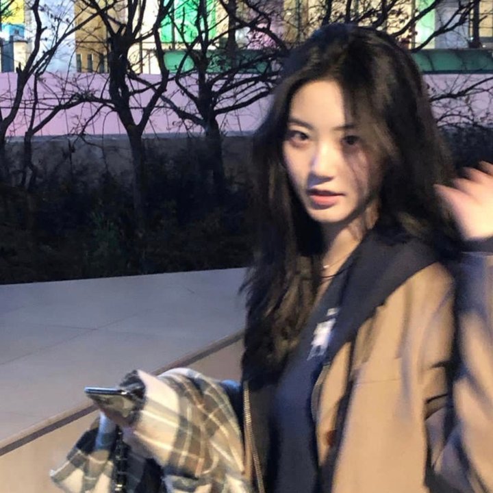 蔷薇少女 序曲